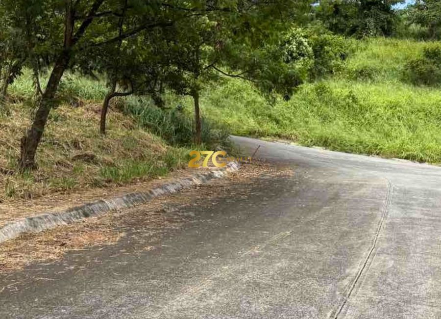 Parkridge Drive, Park Ridge, Santa Cruz, Antipolo, Rizal image 3