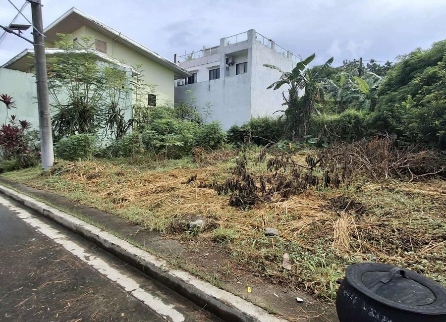 Red Oak Street, Cupang, Antipolo, Rizal image 2
