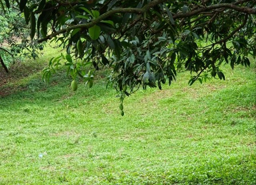 San Ysiro Valley, San Ysiro, Antipolo, Rizal image 2
