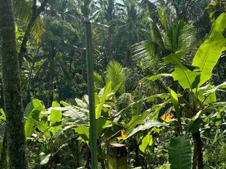 Tanah View Jungle & Sawah Dekat Ubud Lingkungan Tenang dan bagus