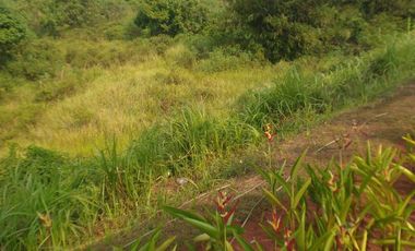 Kavling Luas 1,5 Hektar 15000m2 Area Cibubur CBD SHM Strategis