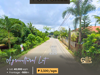 For Sale: Agricultural Lot located at Brgy. Burol Calamba, Laguna