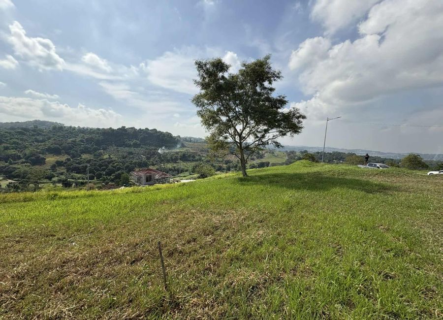 Forest Hills Avenue, Lower Tulakin, Bagong Nayon, Antipolo, Rizal