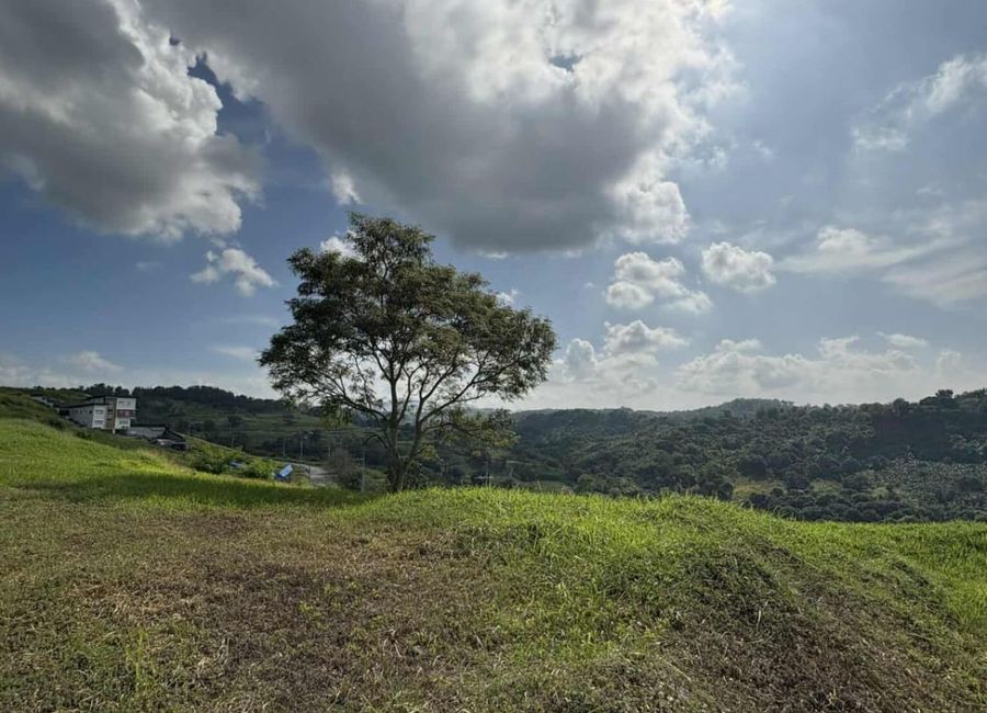 Forest Hills Avenue, Lower Tulakin, Bagong Nayon, Antipolo, Rizal image 3