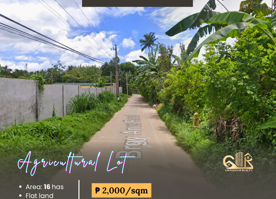 Bungahan-Lalayat Road, Sabang, San Jose, Batangas