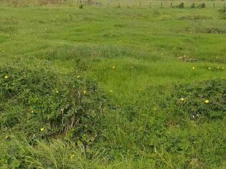 Residential Lot 300 sqm for Sale at Dasmarinas City Cavite near Daang Hari & Aguinaldo highway