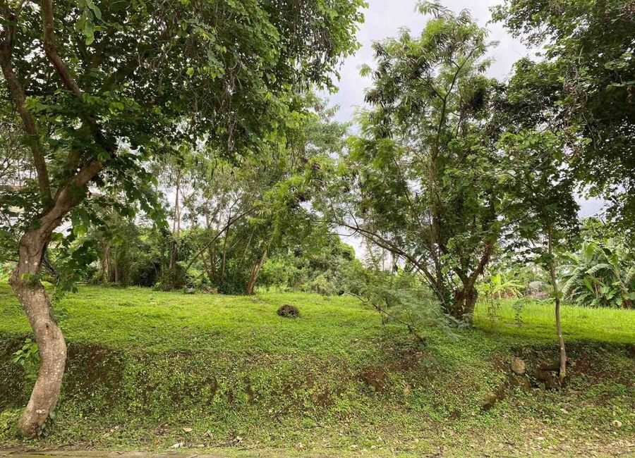 Spine Road, Ayala Greenfield Estates, Maunong, Calamba, Laguna image 3