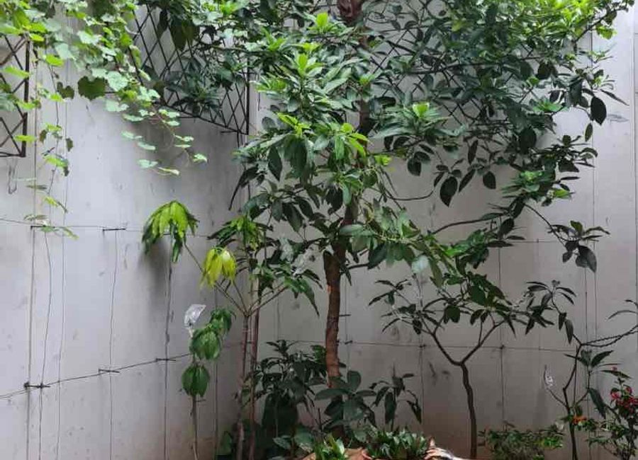 place photo 7