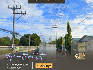 For Sale: Agricultural Land located at Brgy. Guyong Sta. Maria, Bulacan