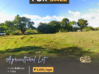 For Sale: Agricultural Lot located at Sitio Linawan, Brgy. Bulak, Sta. Maria Bulacan