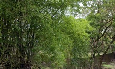 EH-1152: ! FOR SALE! 20,002 Sqm Residential/ Agriculture land located at Sitio Ayala, Brgy. San Agustin, Magalang, Pampanga
