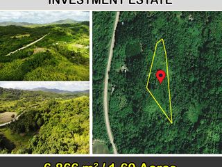 6,866 m2 / 1.69 Acres | The Greenview Premium Investment Estate