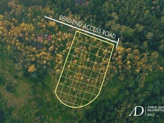 LEASEHOLD | UNIQUE CANYON-EDGE LAND IN SIDEMEN, BALI