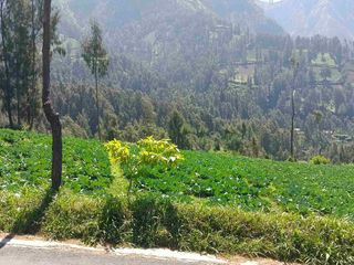 TANAH WISATA BROMO