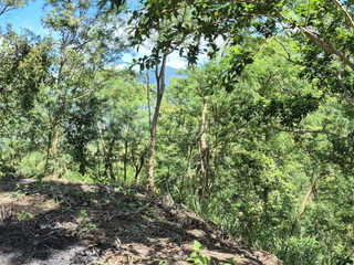 FOR SALE - Agricultural Lot in Tanay, Rizal