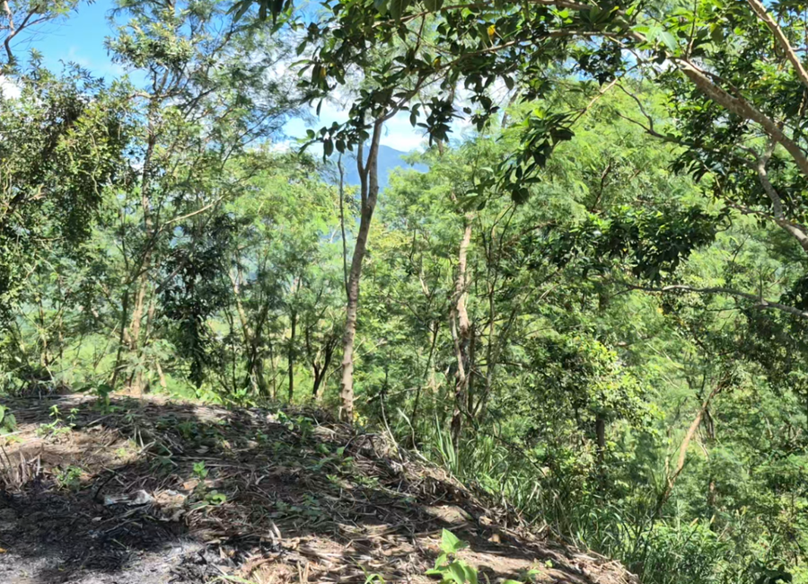 Narra, Cuyambay, Tanay, Rizal