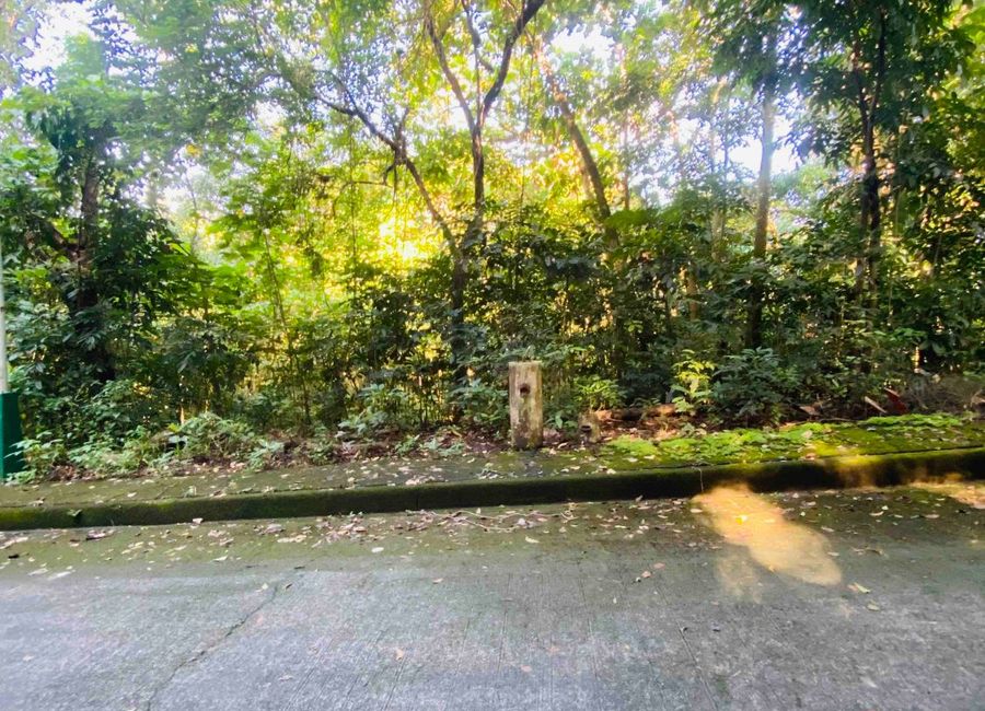 Kent Street, Town & Country Estates, Santa Cruz, Antipolo, Rizal