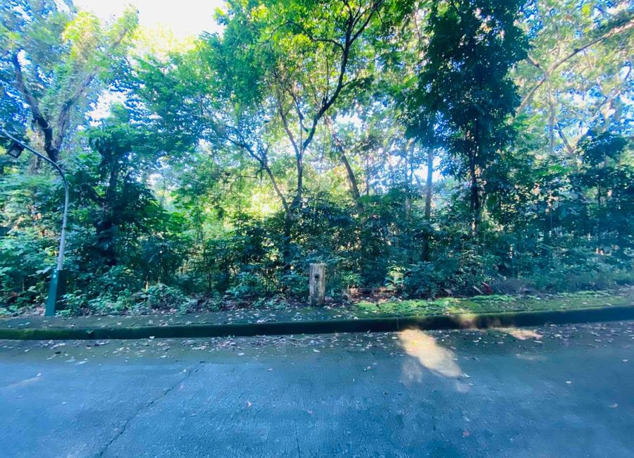 Kent Street, Town & Country Estates, Santa Cruz, Antipolo, Rizal image 2