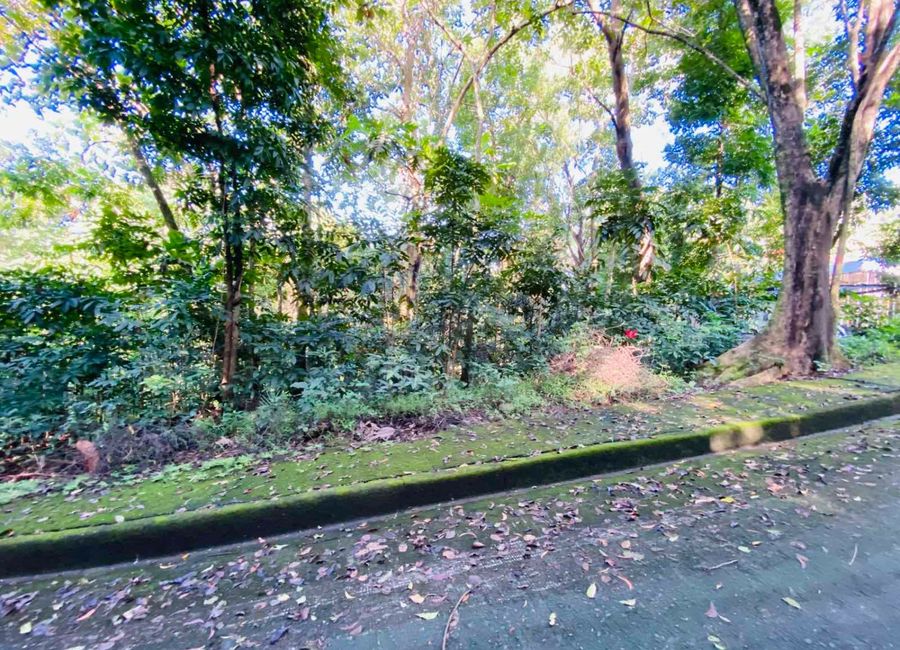Kent Street, Town & Country Estates, Santa Cruz, Antipolo, Rizal image 3