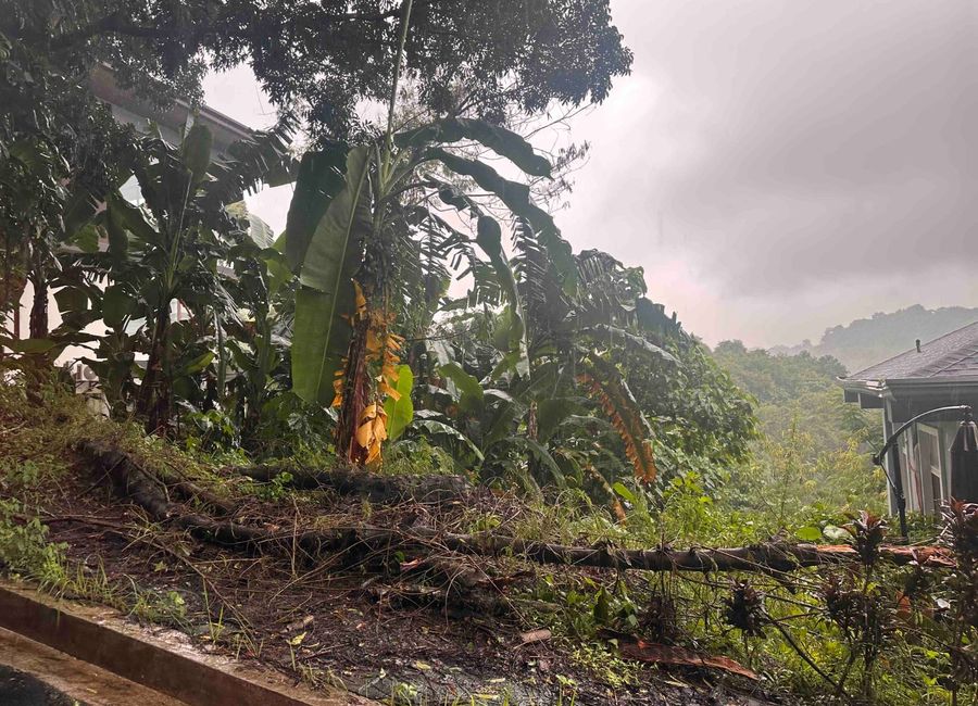 Cupang, Antipolo, Rizal image 2