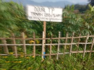 Dijual Cepat Tanah Di Tanjungsari Kabupaten Sumedang