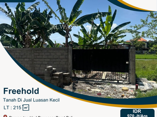 Land For Sale at Pemecutan Klod