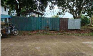 Lot for Sale in Amadeo Cavite along Brgy. Road