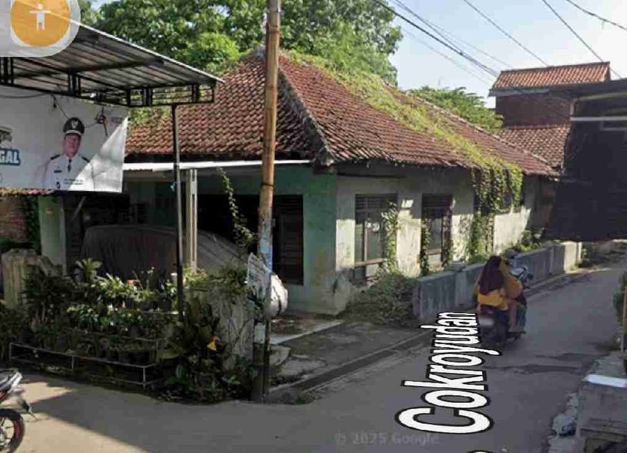 place photo 1