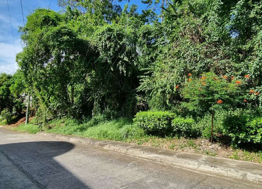 Parkridge Drive, Park Ridge, Santa Cruz, Antipolo, Rizal image 2
