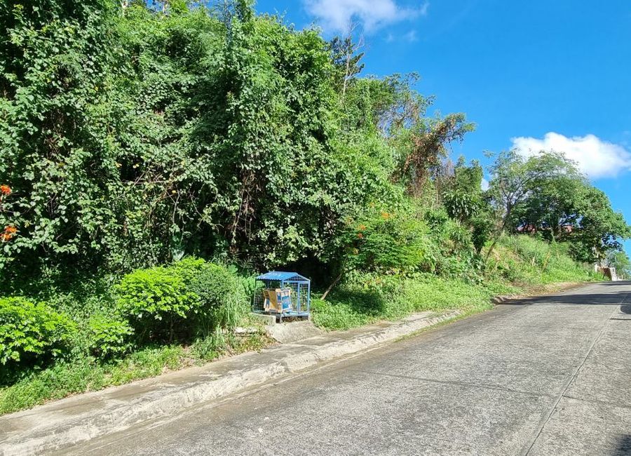 Parkridge Drive, Park Ridge, Santa Cruz, Antipolo, Rizal image 3