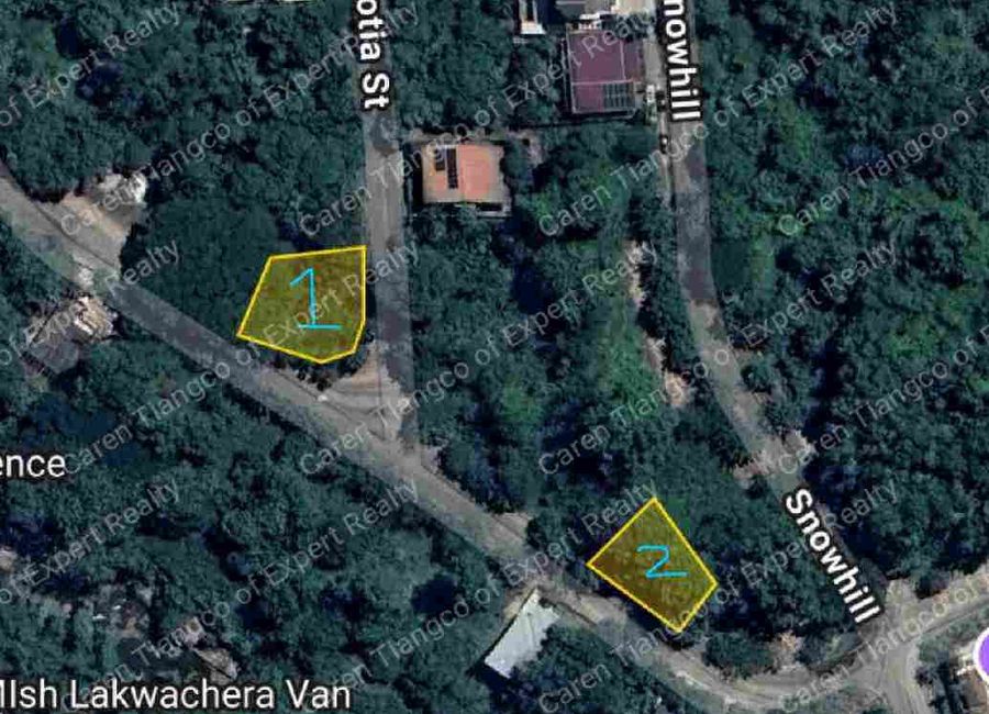 Parkridge Drive, Park Ridge, Santa Cruz, Antipolo, Rizal