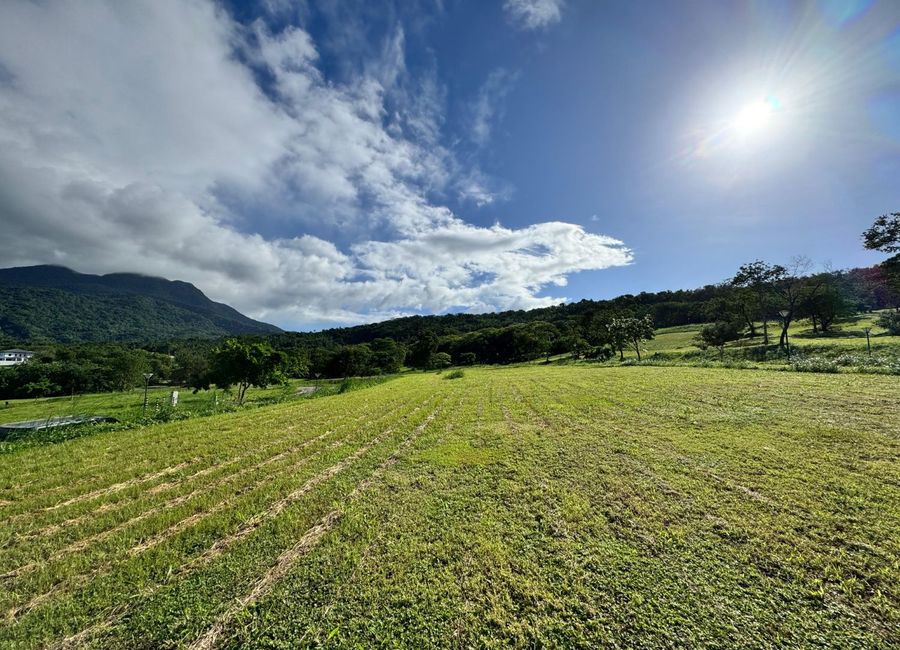 Ayala Greenfield Estates, Maunong, Calamba, Laguna