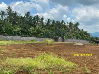 Lot for Sale at Liliw Laguna ideal for Farming and Retirement Place