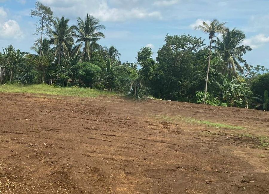 Silangang Bukal, Liliw, Laguna image 2