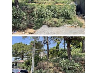 For Sale 3 Adjoining Lots Located in Lubas La Trinidad with 845sqm, 736sqm and 1,000sqm (Total of 2,581sqm) All Clean Title-JV2