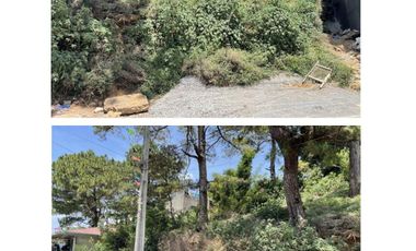 For Sale 3 Adjoining Lots Located in Lubas La Trinidad with 845sqm, 736sqm and 1,000sqm (Total of 2,581sqm) All Clean Title-JV2