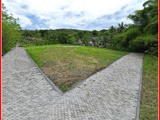 Dekat Bandara YIA, Tanah Jogja dijual Siap AJB