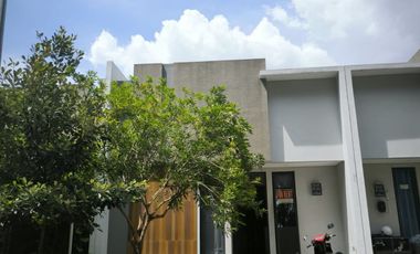DIJUAL RUMAH CANTIK DIKAWASAN BINTARO JAYA TANGERANG SELATAN