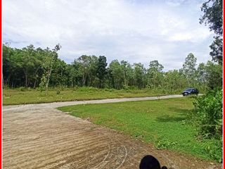 Selatan POLRES Kulonprogo, Tanah Jogja dijual : Siap AJB