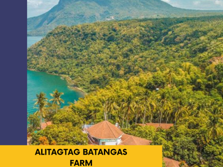 Residential Farm For Sale in Alitagtag Batangas City