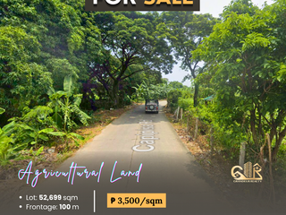 FOR SALE: Agricultural Lot in Tres Cruses Tanza, Cavite