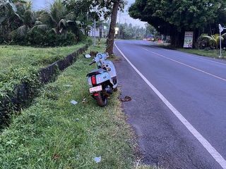 Leasehold - Land Prime in Jembrana, Bali