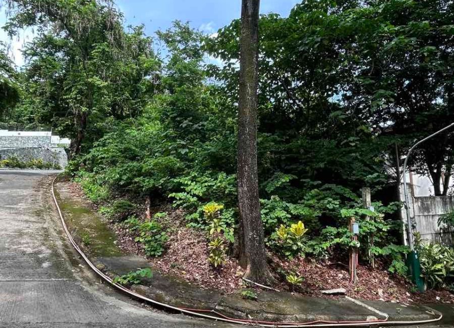 Kent Street, Town & Country Estates, Santa Cruz, Antipolo, Rizal image 2