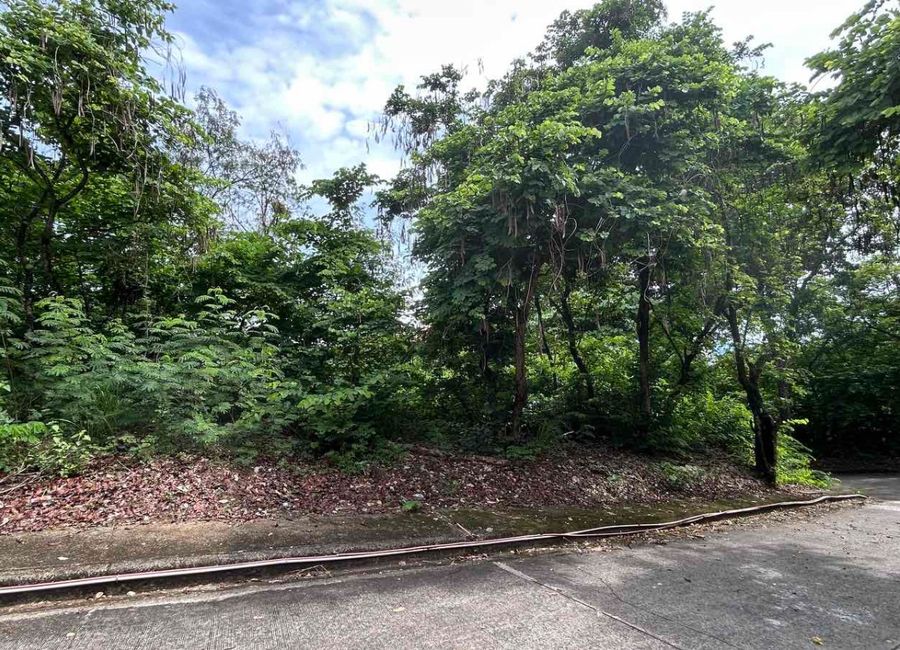 Kent Street, Town & Country Estates, Santa Cruz, Antipolo, Rizal image 3