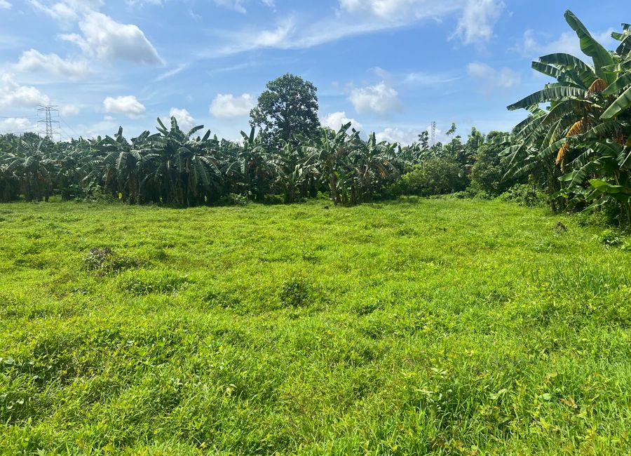 Natatas, Tanauan, Batangas image 3