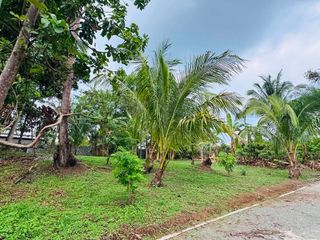 1000sqm CLEAN TITLE Resi-Farm For Sale in AMADEO CAVITE, Ready for TRANSFEER! NEAR TAGAYTAY
