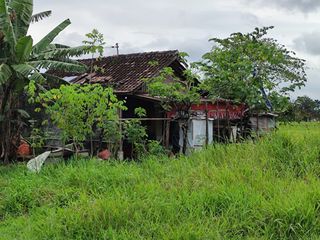 ASET BTN SOLO. RUMAH MURAH DI BLIMBING, GATAK, SUKOHARJO