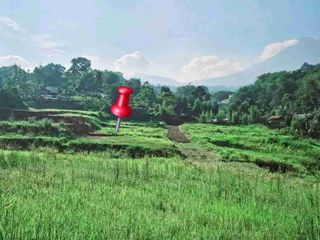 Tanah 950mdpl Di Puncak Bogor Lhas 400m2 Hook