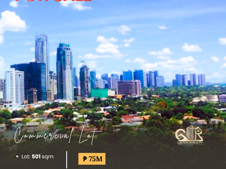 For Sale: Commercial Lot located at San Juan City