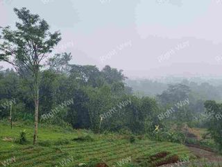 Dijual Murah Tanah Berkabut 850 Mdpl di Puncak Bogor